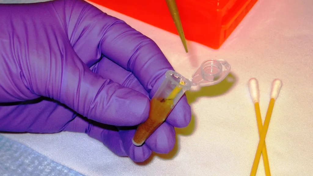A laboratory bench set up for research