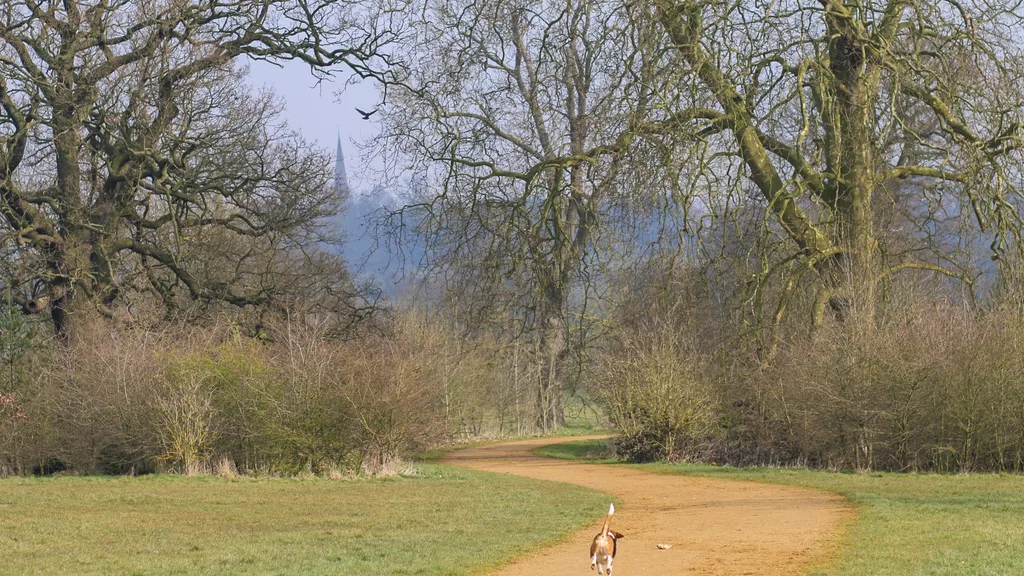 People walking on an outdoor path