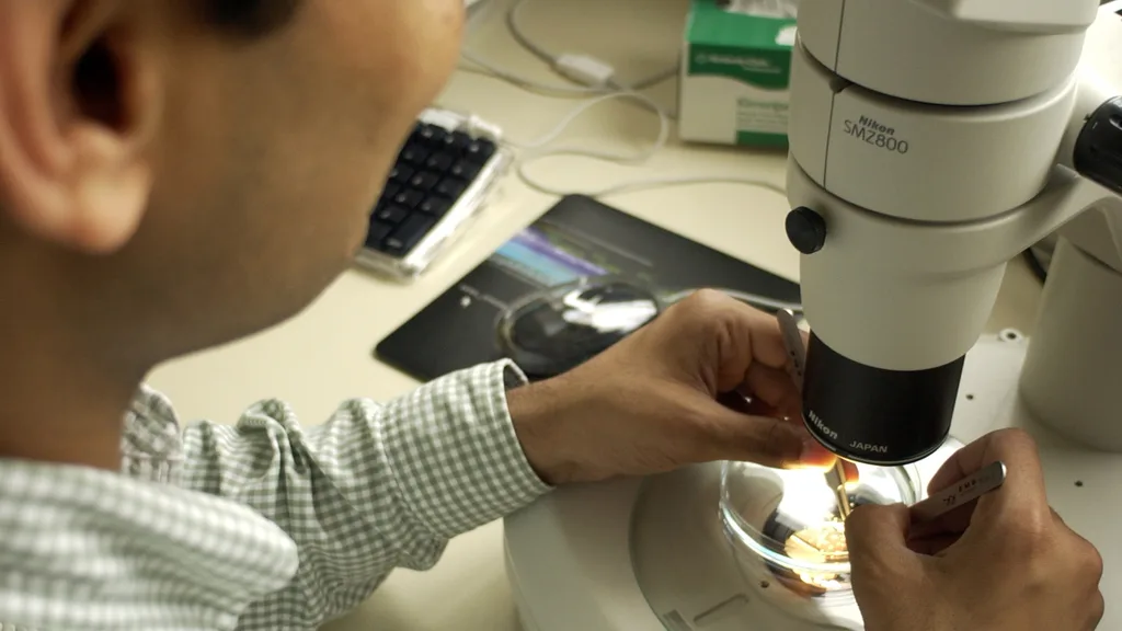 A researcher working at a microscope