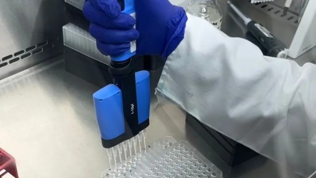 A laboratory bench set up for research