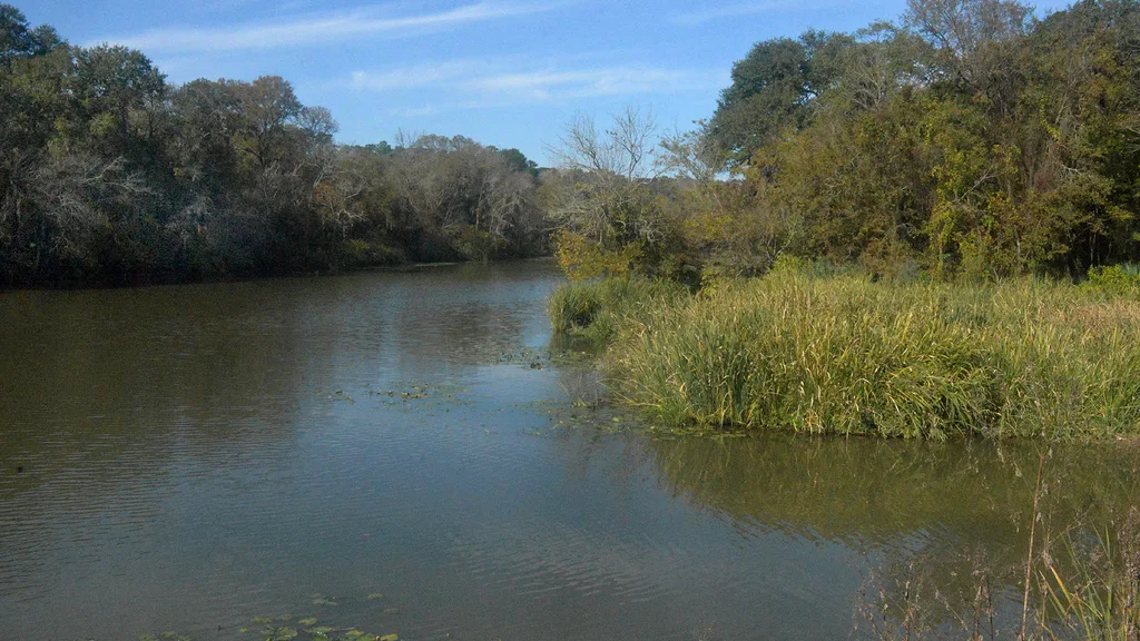A lake seen from a hiking trail