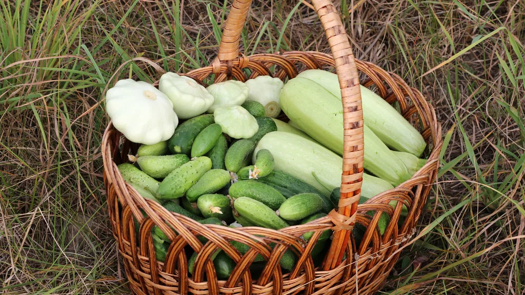 A basket of vegetables
