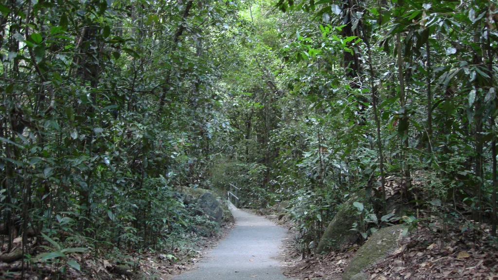 People walking on an outdoor path