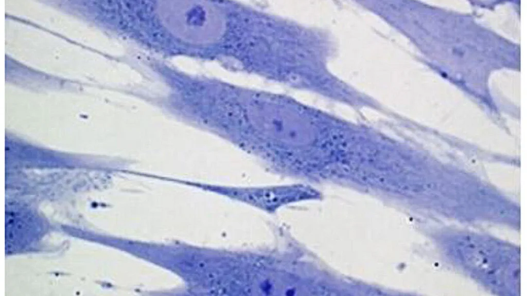 A researcher working at a microscope